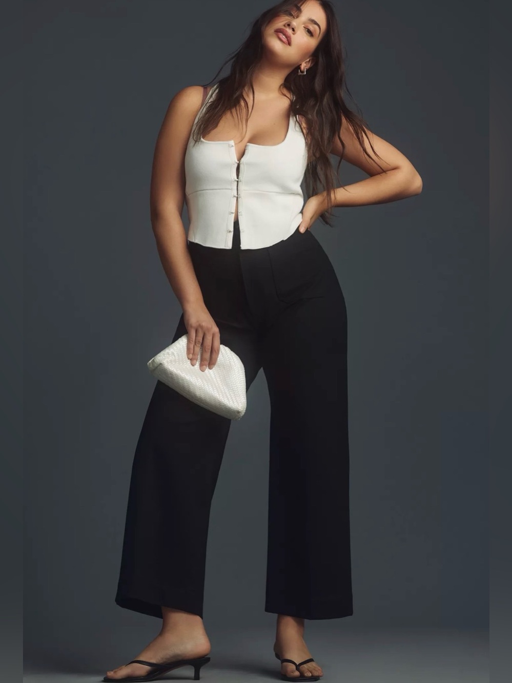 Anthropologie Maeve The Colette Ponte Crop Wide-Leg Pants 27